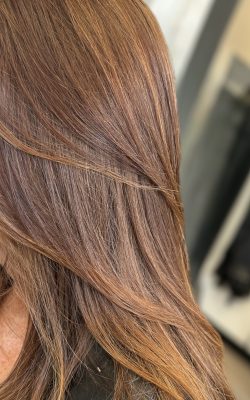 3A9FF260-DD64-4EC2-A3CF-03AC5C82B906