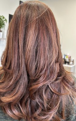 8A2B21B4-1AB7-4CC1-A4B3-19CBAEC71590