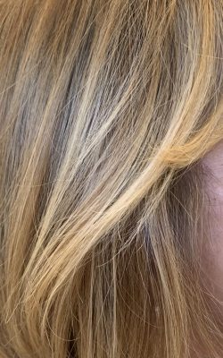 A0BD520F-77B5-432A-8A98-E5A7442BD747